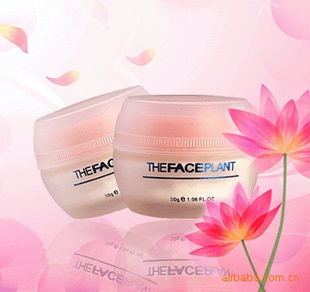 家居日用品 生活品質(zhì)的無聲守護(hù)者